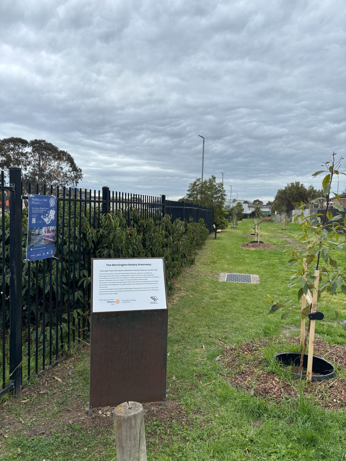 The Mornington Rotary Greenway sign beside new tree plantings along the old railway line